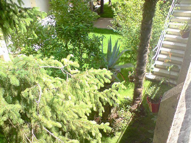 Hotel La Pergola Amélie-les-Bains-Palalda Екстериор снимка